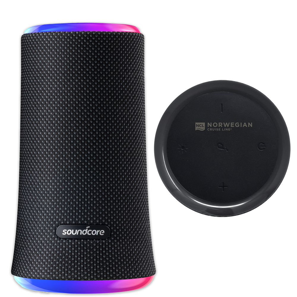 Soundcore Flare 2 | BAMKO Collection