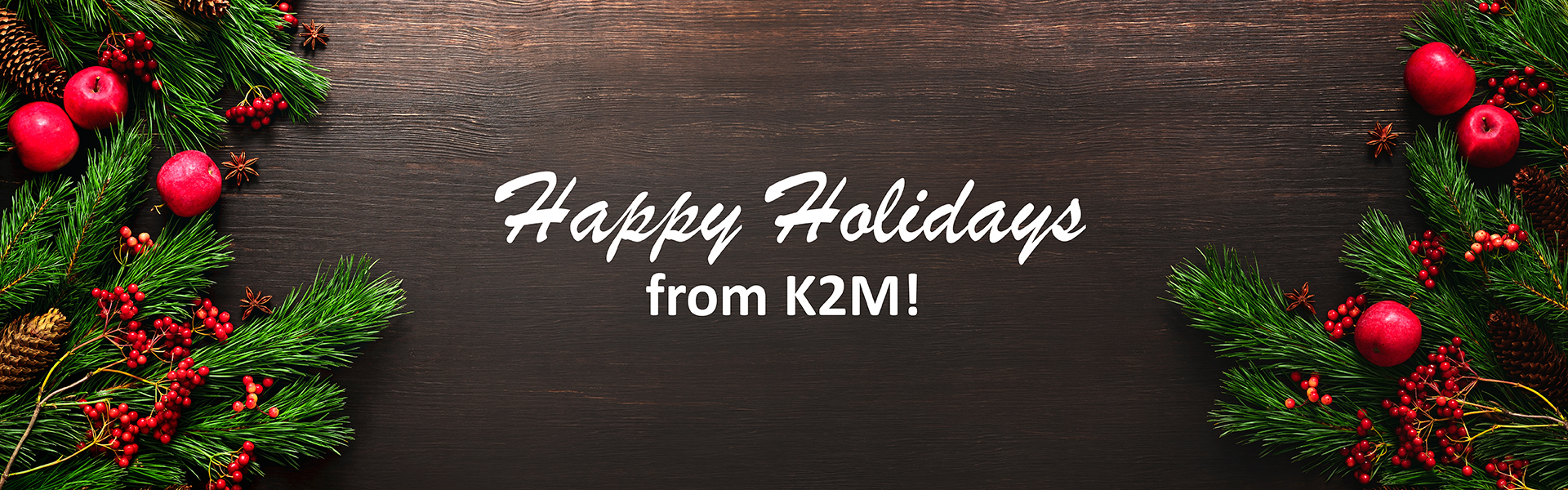 2025 Holiday Pop Up Shop Banner