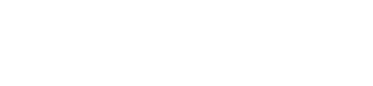 Ansys SKO 2026 Footer Logo